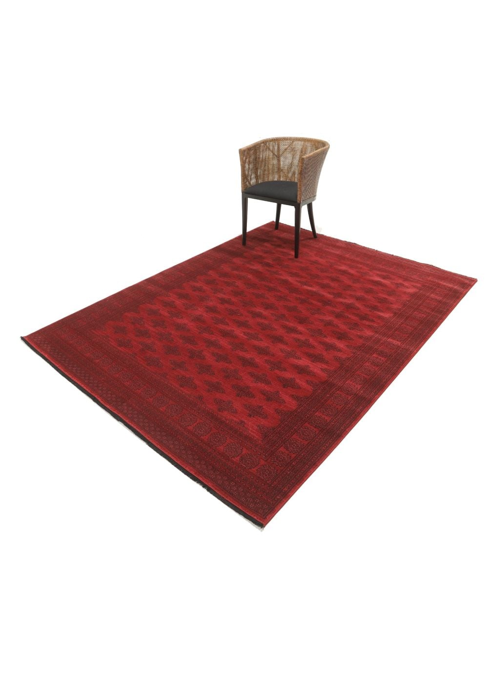 パキスタン Butterfly