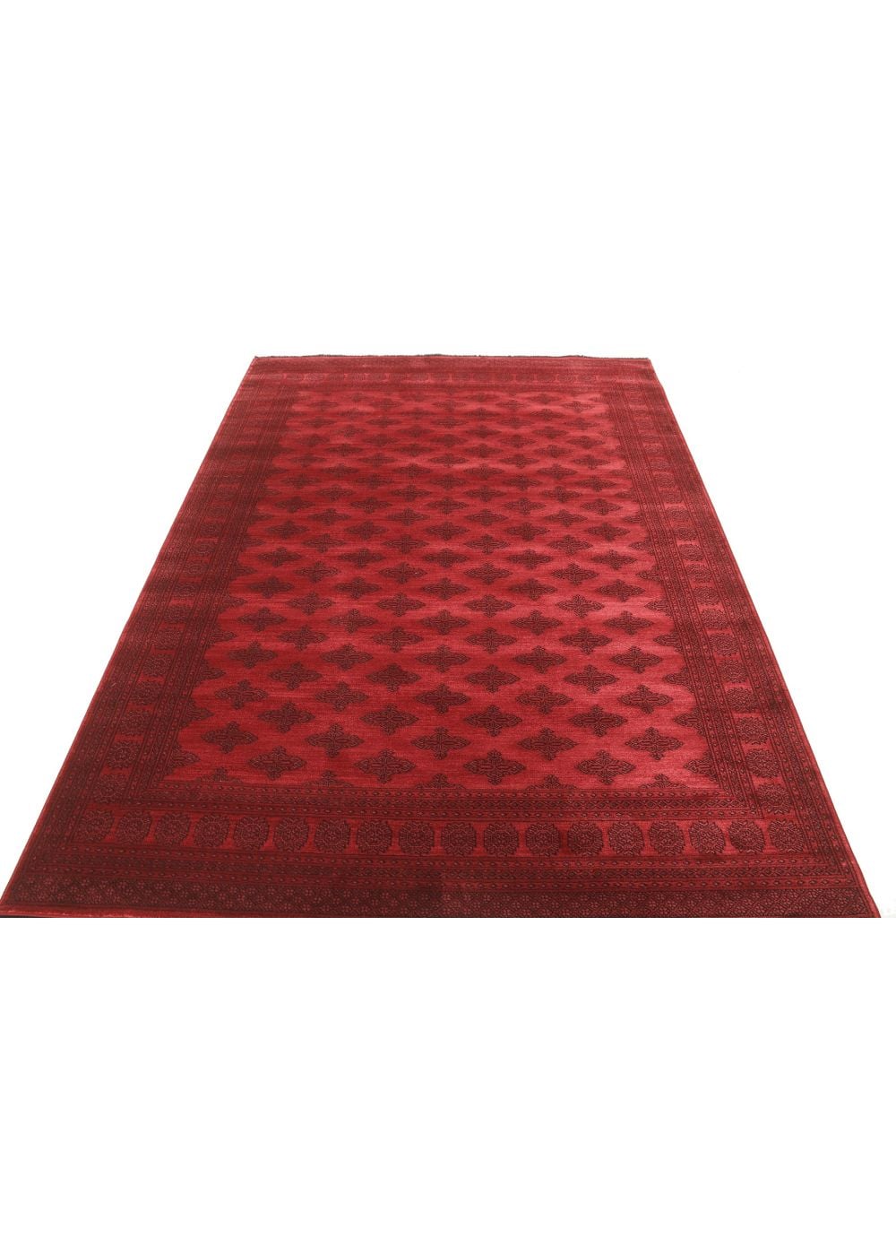 パキスタン Butterfly