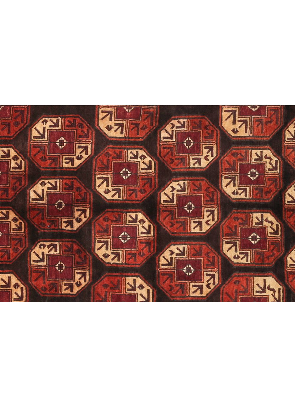 バルーチ族　ホルジン 2023.4.6名古屋駅バルーチ.jpg?